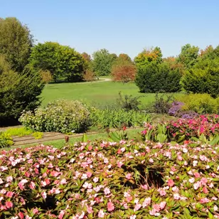 The Arboretum